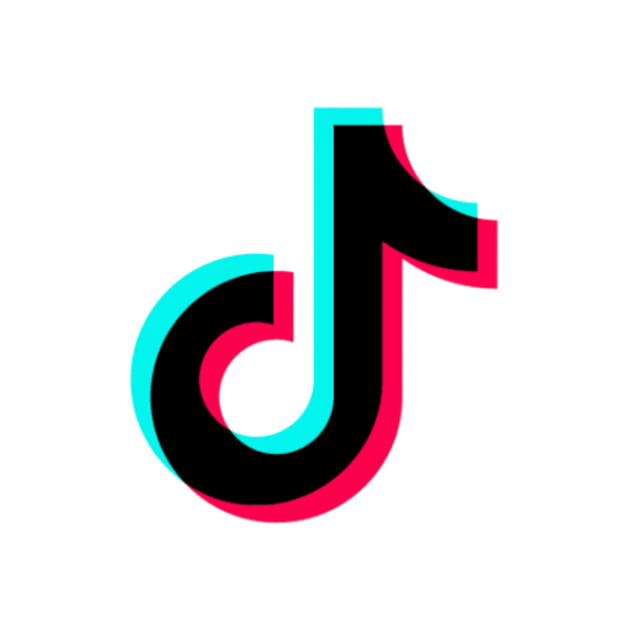 TikTok Downloader
